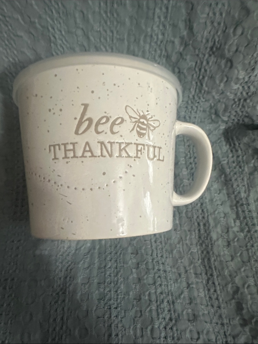 Large bee Thankful soup mug with lid by Boston Warehouse.